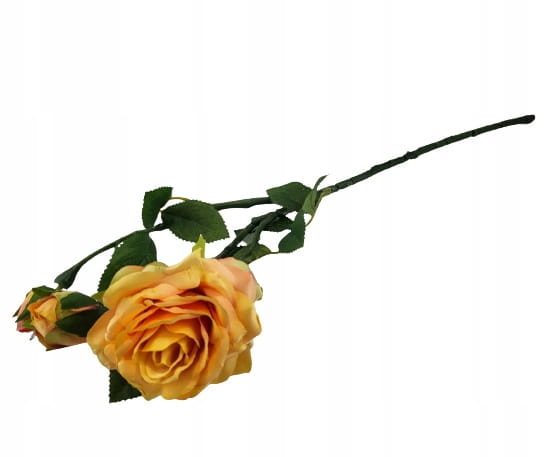 RÓŻA POMARAŃCZOWA HERBACIANA GAŁĄZKA