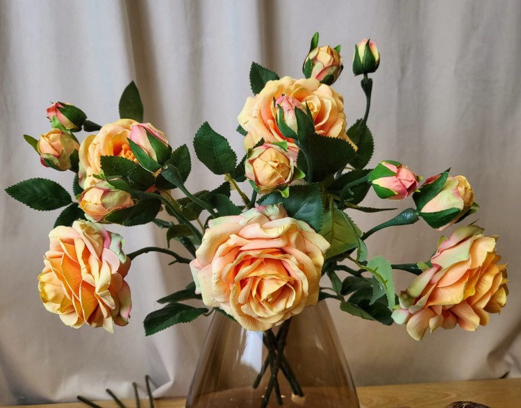 RÓŻA POMARAŃCZOWA HERBACIANA GAŁĄZKA