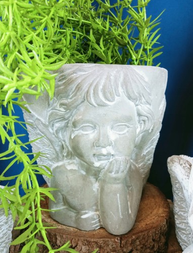 ad570db5504c555684fb35a780a2165b