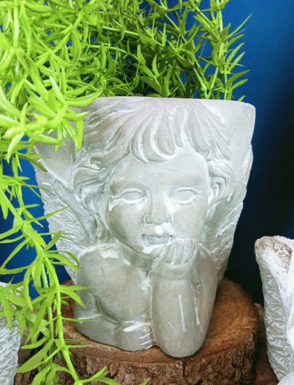 ad570db5504c555684fb35a780a2165b