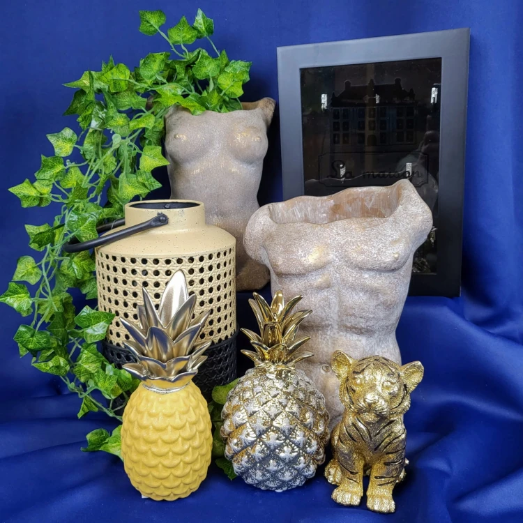 d50d3dac656567e4924a37925ea3ad48