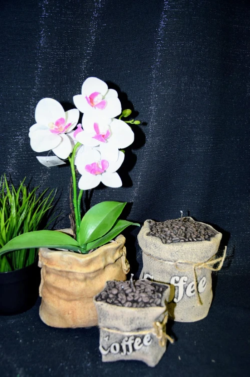 af81d3fa7267c600ff51547ff9f325d5