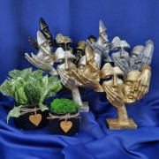 30455a3440ba16e6d4d0c37f5454efa6