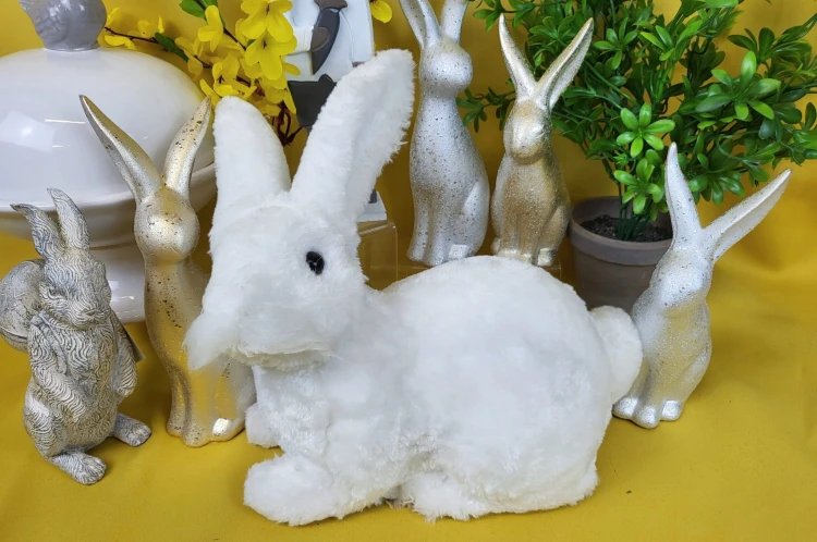 cff319c37cb614b4a2a5cb8581af4bff