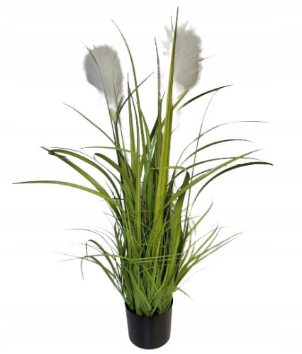 33ee438b2cdecea5dcaea8f463e32c66