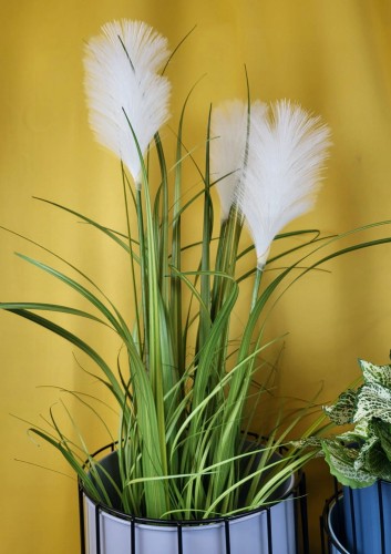 0a84431db1cfb2a62d80a05c700cc44b