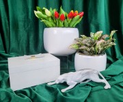 65381d145c1a4b47ebe6a0dcad8099fa