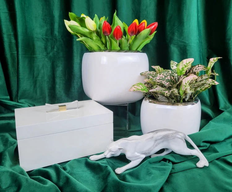 65381d145c1a4b47ebe6a0dcad8099fa