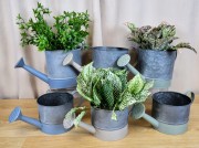 6e70cca8f3feb1afdf0a8b78d9388415