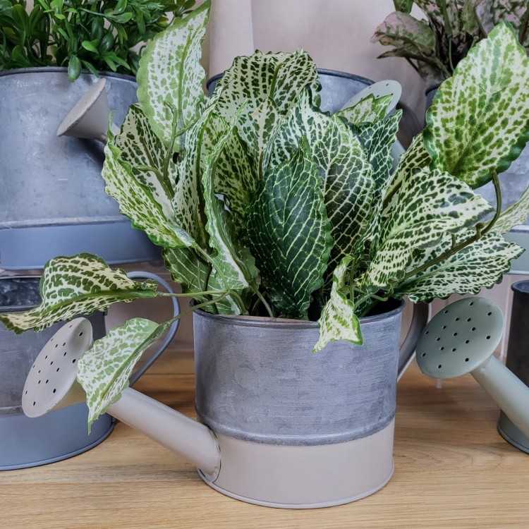 4f9b80228cc8b4e7ff008a4376ae7e59