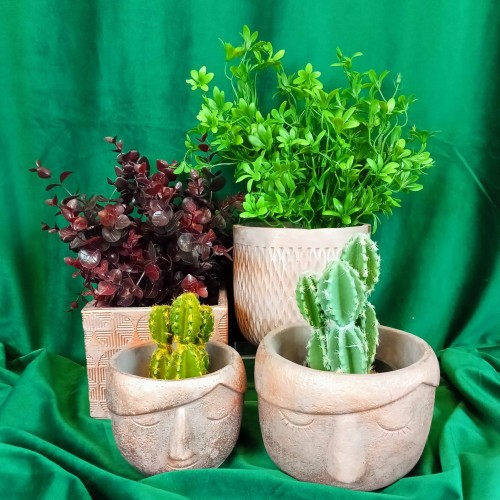 fe7de8c4bf82898ac50c3f9e0d12d759