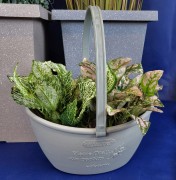 501d381339bb2c8a6f3b7982ee1e3fa0