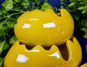 ace37544f96bbb33198af636e8c526c7