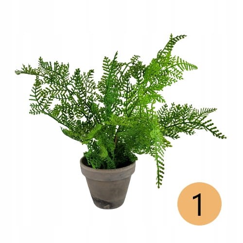 b77bc1fa470c49be100451f6028deac1