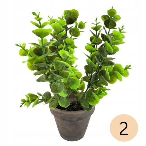 05d888f292782ba1c3ea20196061c02a