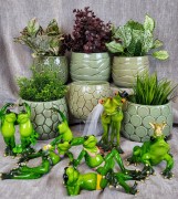 c0f24295558046975cbc7db50096e225