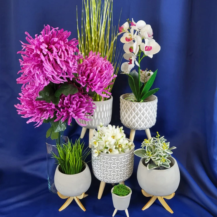 efc9af5ae0751feca9f2c23d83f9d691