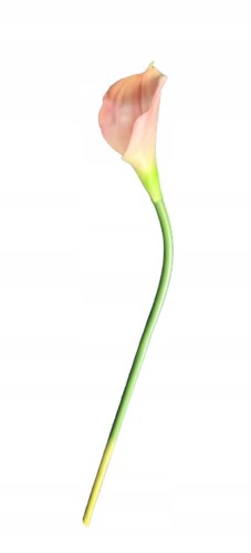 5102879f7fabdd03dac26e6a028292fb