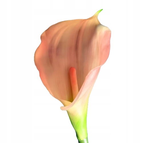 ca5508e1c098d36d04a795c42e27603e