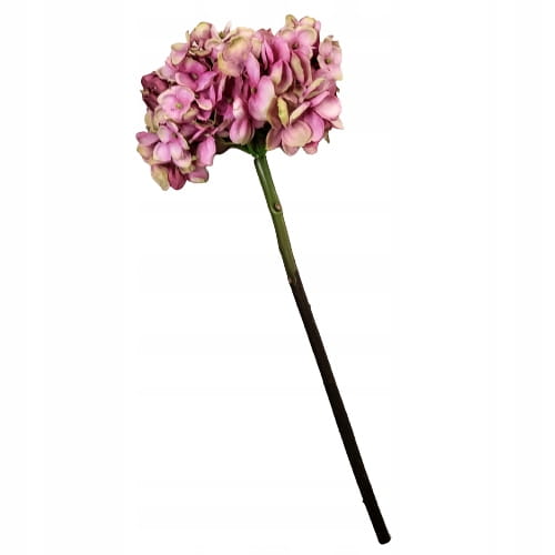 03883dbc765f2449cb8f399c479e4632