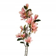 3319a54968b3bfbd235dc679cc27baed