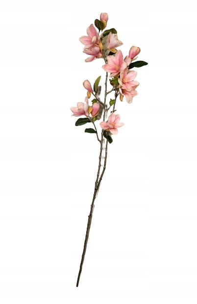 a6a5d122944402a0496c4c5afb003cb6