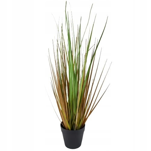 6364c6fac612f10c4f4dfd921d63ba86