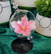 61ce8831b2678acc18dd55fd4805f8aa