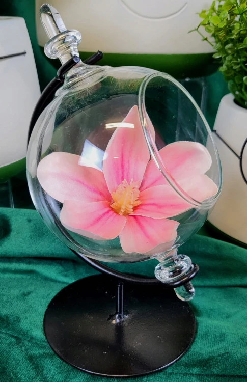 64b771e8e4e120a8b6f2e6624e418d8c