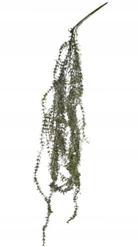 f40d0a092434d887a9b24209b0875f36