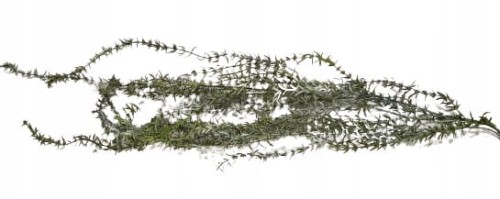 913b429731592bcbe006045f6e287152