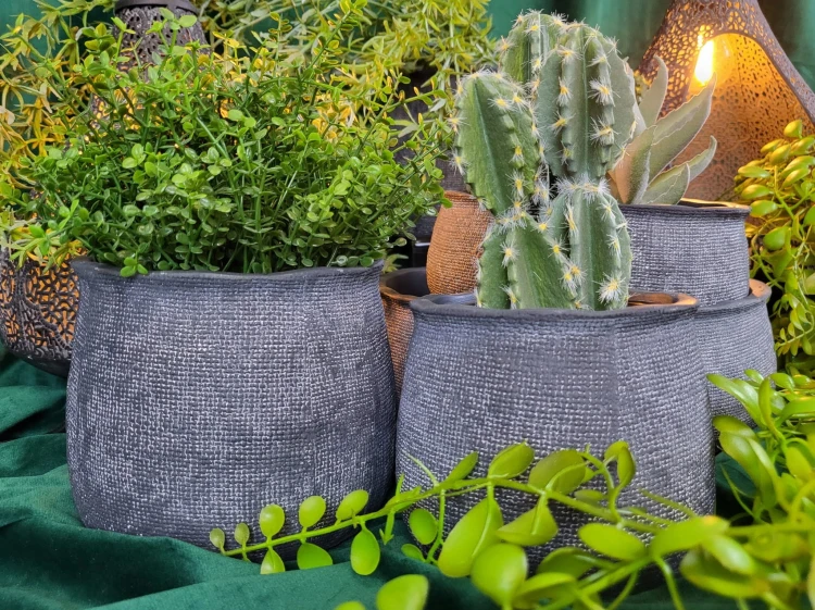 6724a442aacbaf83347649fc0133ce67