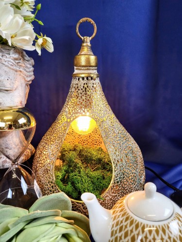 9c4e2492d957c0e840a69f7efbfe4d6d