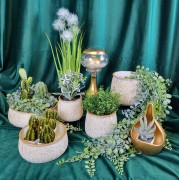 ae5ec2f693da441b8e0935672abb569e