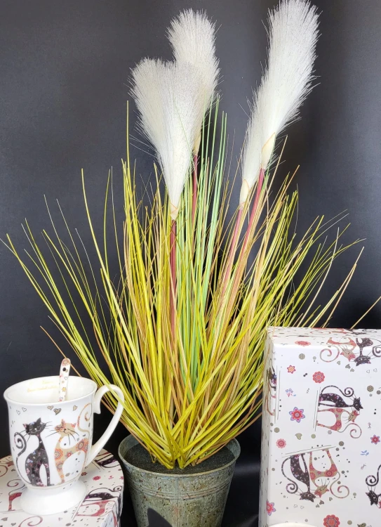 48414fcea194b8fded82d1b344d53f5a