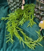 e381673534056dab6c01fab6bf8fcda6