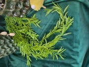 d6218cea9a81fc5e13b45ad22dcc74f9