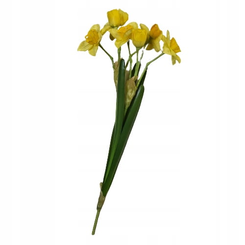 b06b6e6318b11dbfbdb06aaf7dc3f1e8