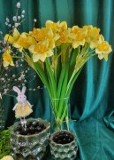 cd63b210c57c13a89ab3c12ba2cd2ea3
