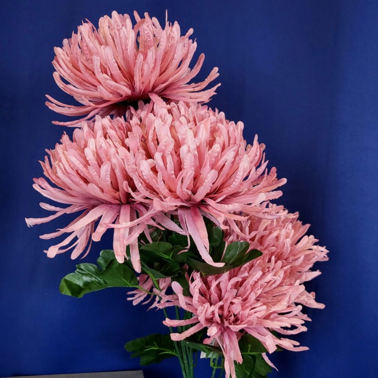 d679a5f4b2306d3431e7b374ebf66360