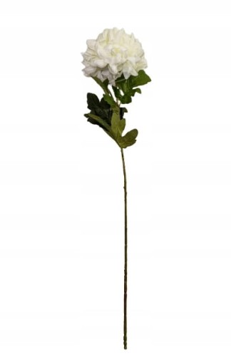 170e7f98ff40876446fa9a33d86ff2fc