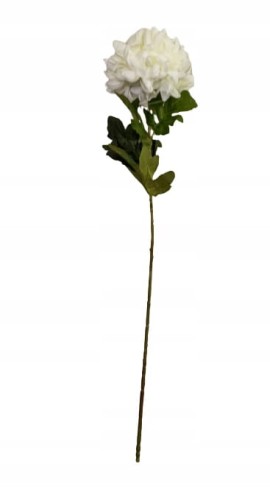 0f14a89bfea429f4ab3179d0b380ee18