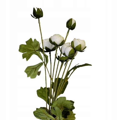 53265036a156ac8b05db7fd84ae327d3