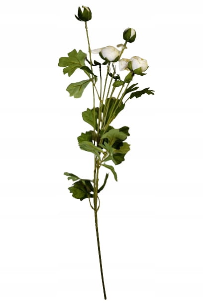 965152ec8f0fe0cefba4fc94246d90e8