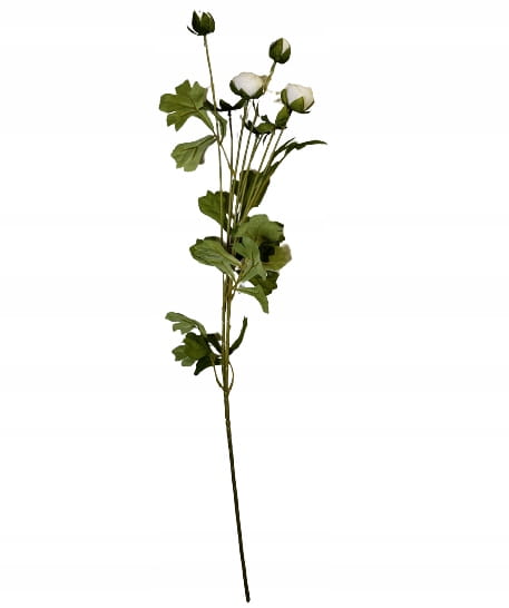 57d215f231a61338c3cc8931ce140bd8