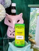 bc057ce907795e572820dcdb444262e4