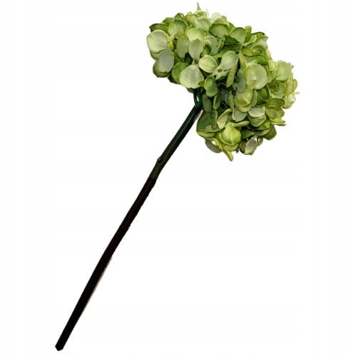 5f9e298c22aee7731c023bc228380a10