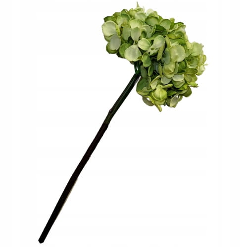 5f9e298c22aee7731c023bc228380a10