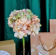 03f6648ae88a908e081c6341db2923a3