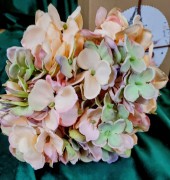 6fc27e04847d2782cda6db4a8d0a547a